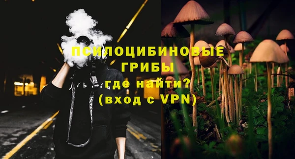 эйфоретик Алзамай