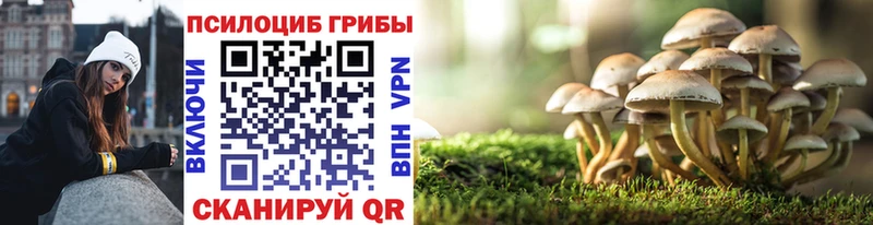 цена наркотик  Мамоново  Галлюциногенные грибы MAGIC MUSHROOMS 